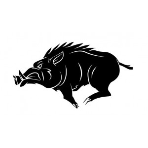 Наклейка на авто Кабан версия 4